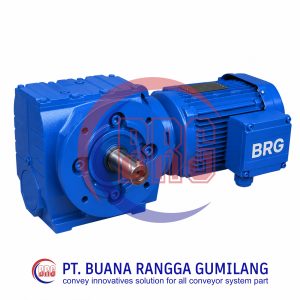electric-motors-conveyor-brg